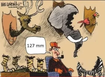 127mm.webp
