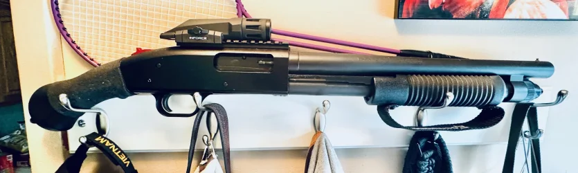 Shotgun.webp